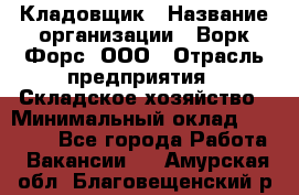 Кладовщик › Название организации ­ Ворк Форс, ООО › Отрасль предприятия ­ Складское хозяйство › Минимальный оклад ­ 27 000 - Все города Работа » Вакансии   . Амурская обл.,Благовещенский р-н